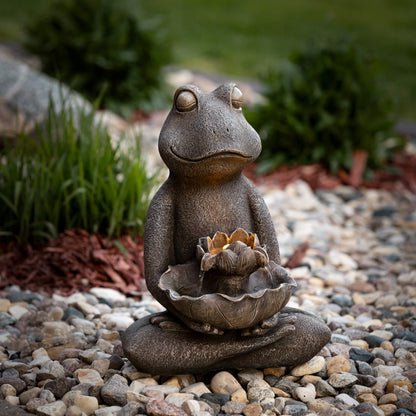 LED Frog Fountain